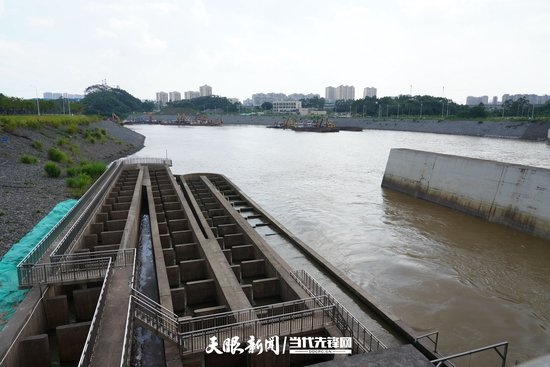 何以中国·运河之光｜平陆运河青年枢纽为鱼儿修“回家路”，480米智慧鱼道守护江海生机